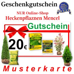 Geschenkgutschein nur gültig im Online-Shop Heckenpflaznen Mencel