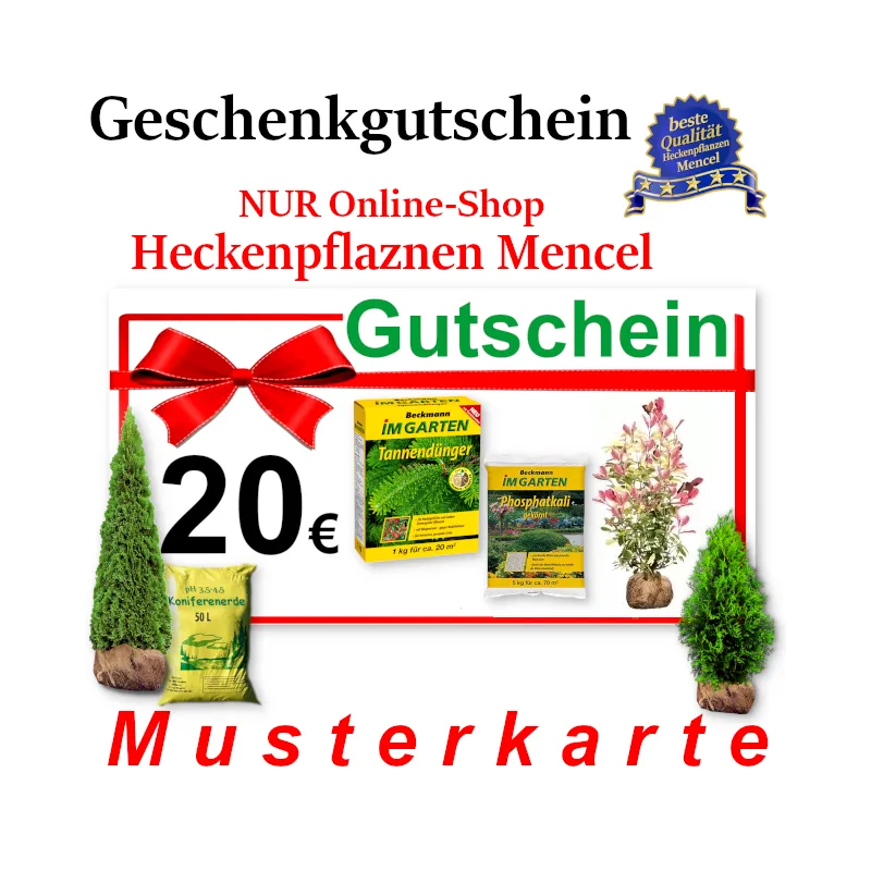 Geschenkgutschein nur gültig im Online-Shop Heckenpflaznen Mencel