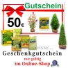 Gutschein 50 € nur gültig im Online-Shop Heckenpflanzen Mencel