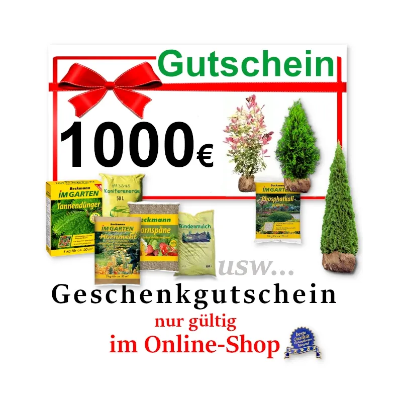 Gutschein – Online-Shop 1000 €