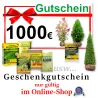 Gutschein – Online-Shop 1000 €