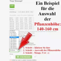 Dies ist eine kurze Anleitung, um die Höhen der Pflanzen zu finden -:)