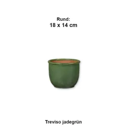 Treviso