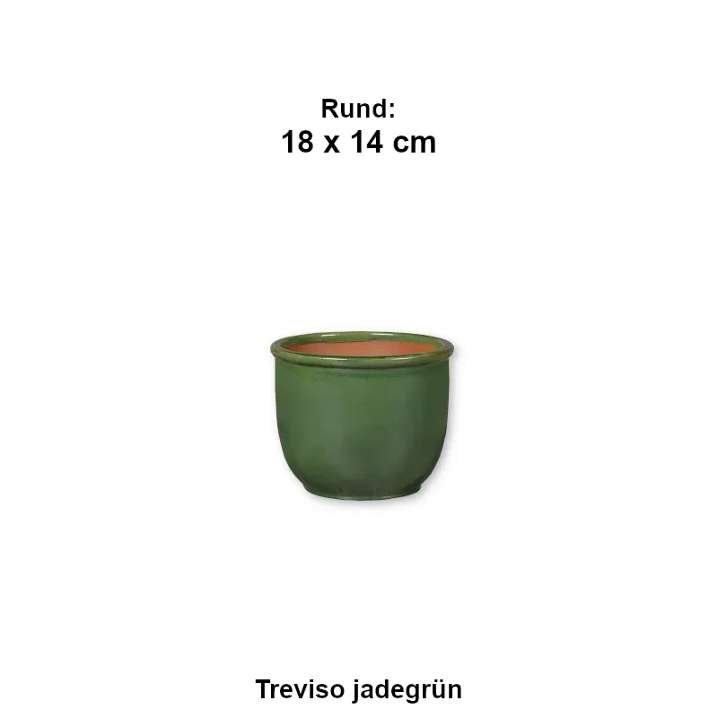 Treviso