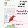 Thuja Smaragd - Ein Beispiel für die Auswahl der Pflanzenhöhe.