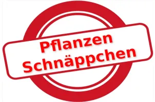 Pflanzen-Schnäppchen