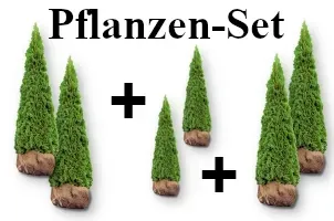 Pflanzen-Sets für den Garten – harmonische Pflanzkombinationen