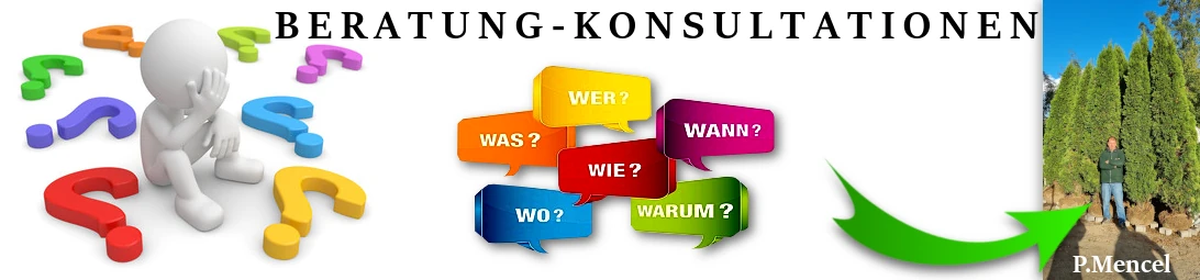 BERATUNG - KONSULTATIONEN - THUJEN