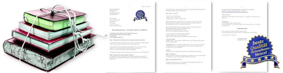 DIAGNOSE UND RETTUNGSPLAN-SERVICE FÜR THUJEN