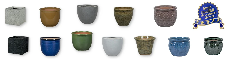 Keramische Töpfe Online-Shop Heckenpflanzen Mencel