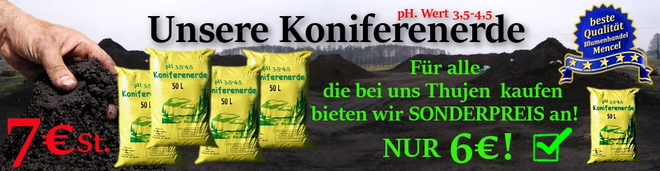 Koniferenerde - Sonderangebot - Saurer Torf