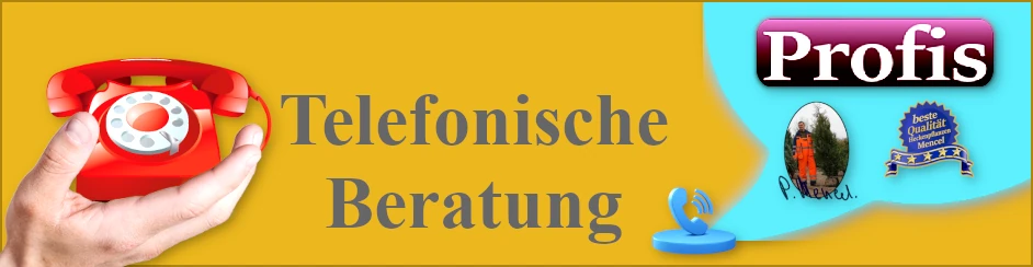 Telefonische Beratung Heckenpflanzen Mencel Wulkau